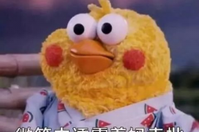 鹿精灵喵妹表情包,萌动心灵的治愈系表情包盛宴