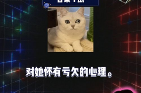 娱乐吃瓜小组,揭秘娱乐圈幕后故事，带你领略明星们的真实生活