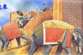 关于战象的资料