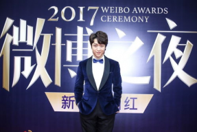 张海宇图片,光影交织下的艺术人生