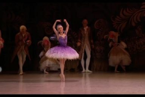 学过芭蕾舞的明星,芭蕾舞明星的优雅传奇